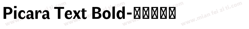 Picara Text Bold字体转换